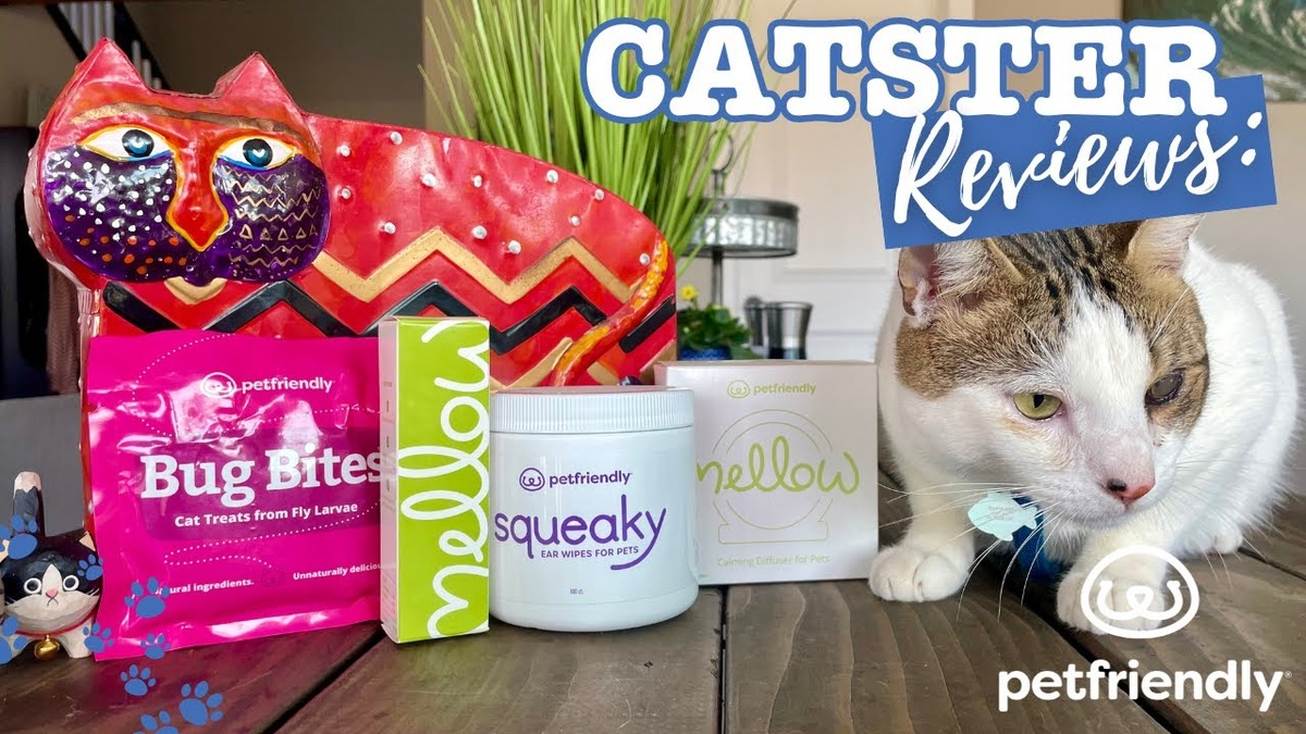 pet friendly product image