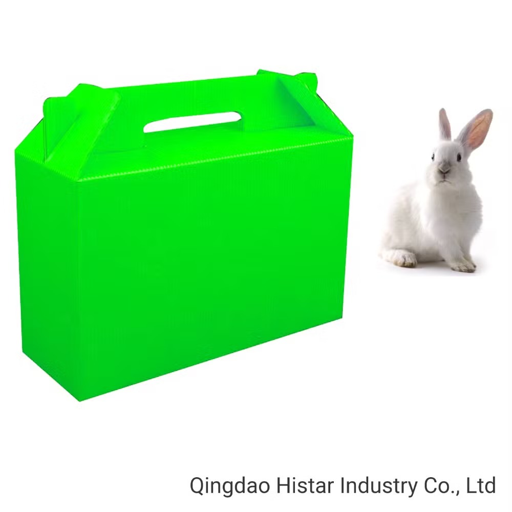 pet friendly product image