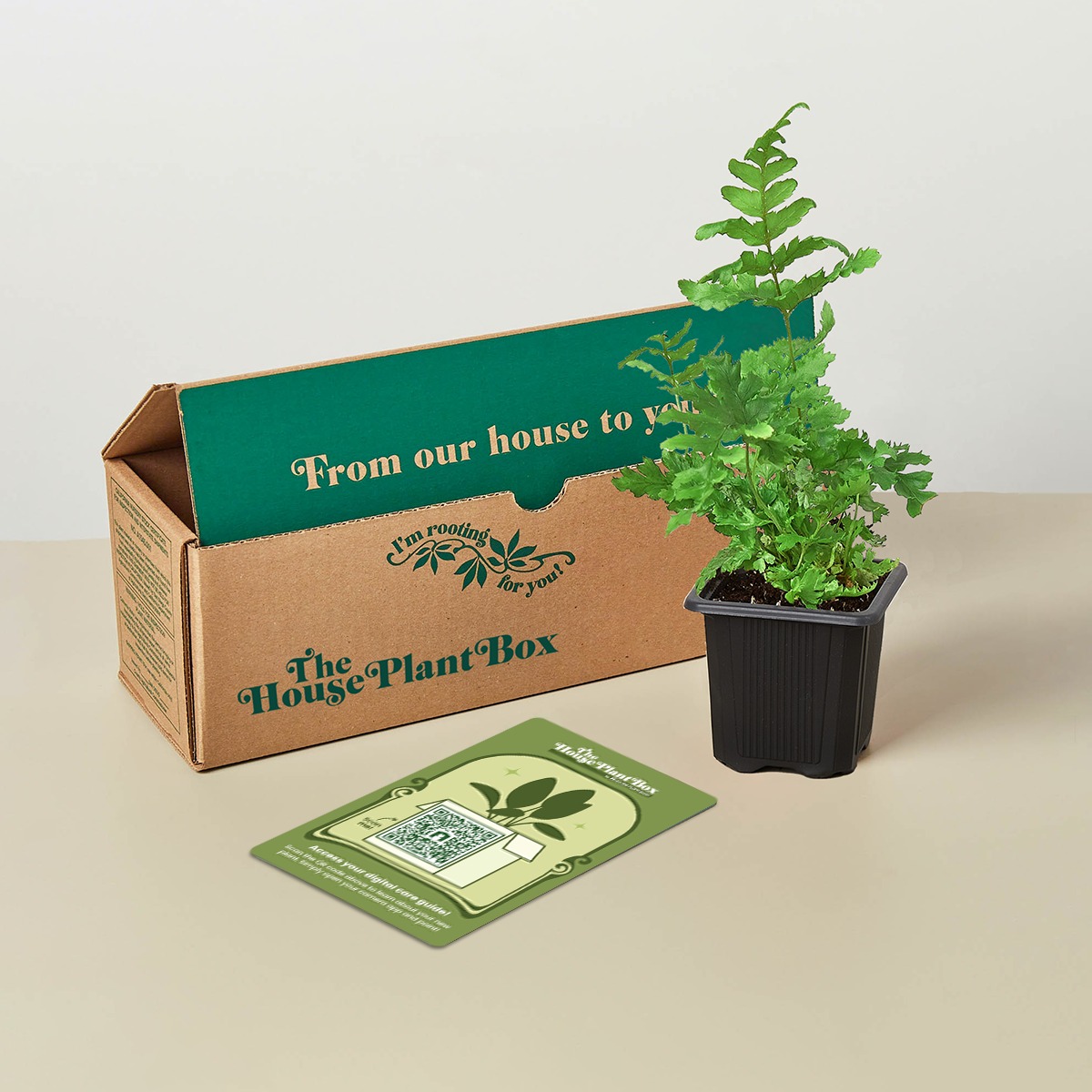 pet friendly product image